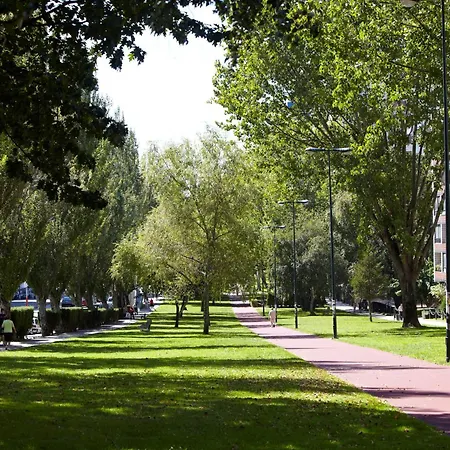 Coia De