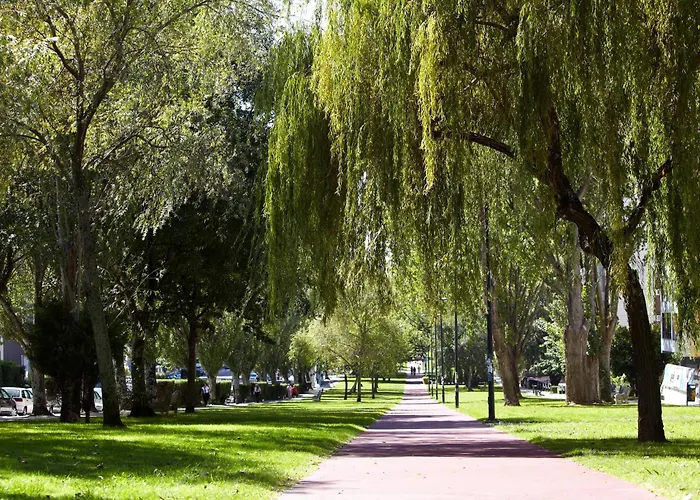 Coia De 4* Βίγκο